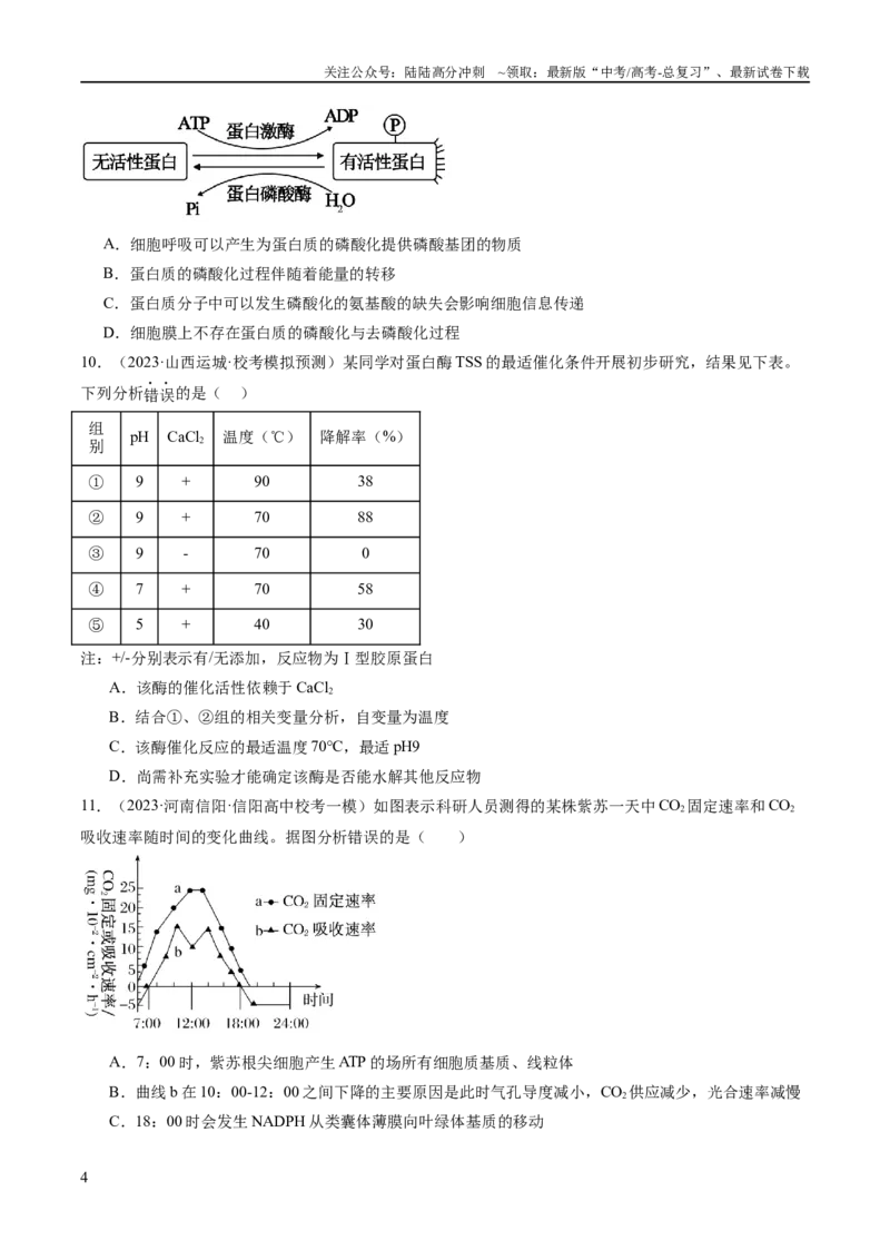 《专题02细胞的能量供应与利用（分层练）（原卷版）_06-生物-高考总复习_二轮复习_2024年_2024年高考生物二轮复习高频考点追踪与预测（新高考专用）_分层练》第4页预览