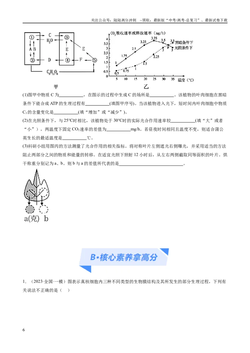 《专题02细胞的能量供应与利用（分层练）（原卷版）_06-生物-高考总复习_二轮复习_2024年_2024年高考生物二轮复习高频考点追踪与预测（新高考专用）_分层练》第6页预览