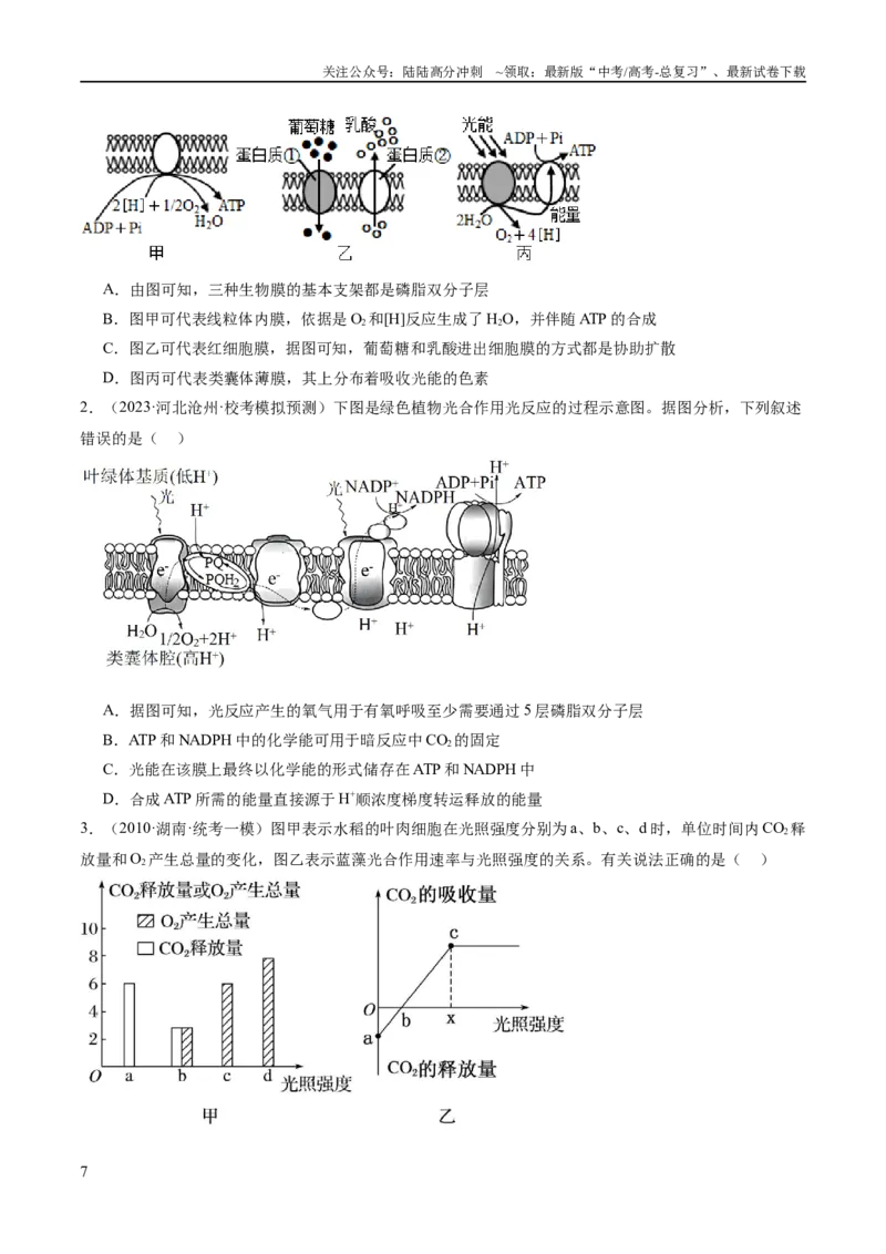 《专题02细胞的能量供应与利用（分层练）（原卷版）_06-生物-高考总复习_二轮复习_2024年_2024年高考生物二轮复习高频考点追踪与预测（新高考专用）_分层练》第7页预览