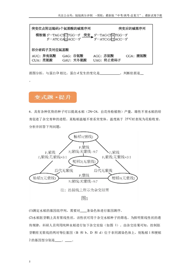 《2024年新课标高考生物真题黑龙江卷变式题24-25_06-生物-高考总复习_专项复习_2024年_2024年生物真题变式题》第5页预览