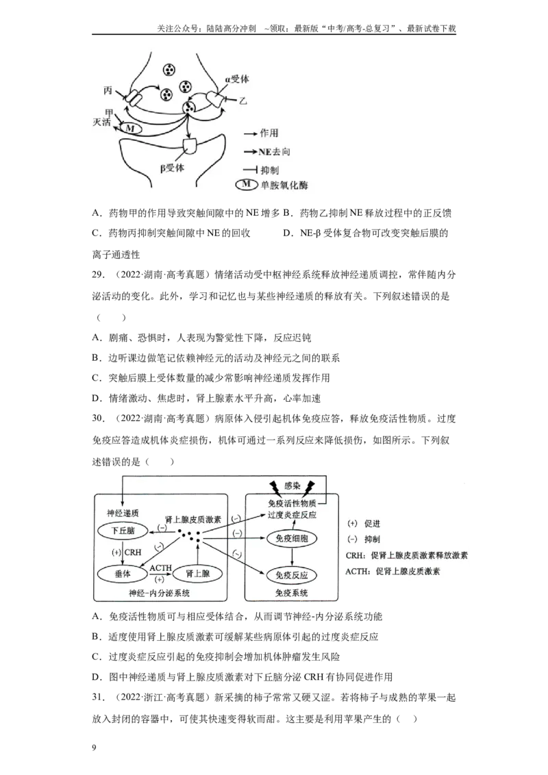《06稳态与调节（单选100）(原卷版)_06-生物-高考总复习_专项复习_2024年_2024年高考生物学总复习高频考点必刷900题高考题_资料》第9页预览