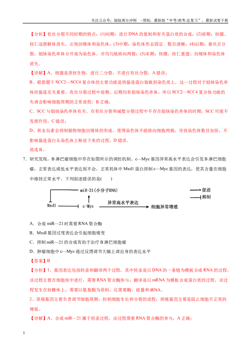《2025年福建高考生物模拟卷(教师版)_06-生物-高考总复习_专项复习_2025年_2025年高考生物大题突破+限时集训（福建专用）》第5页预览