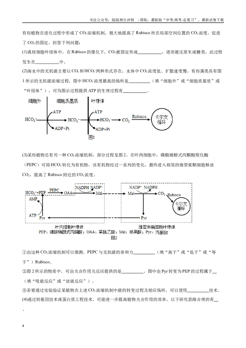 《专题01分子与细胞模块（东北三省通用）（解析版）_06-生物-高考总复习_专项复习_2024年_2024年高考生物考前大题秒杀技巧及专项训练_资料》第4页预览