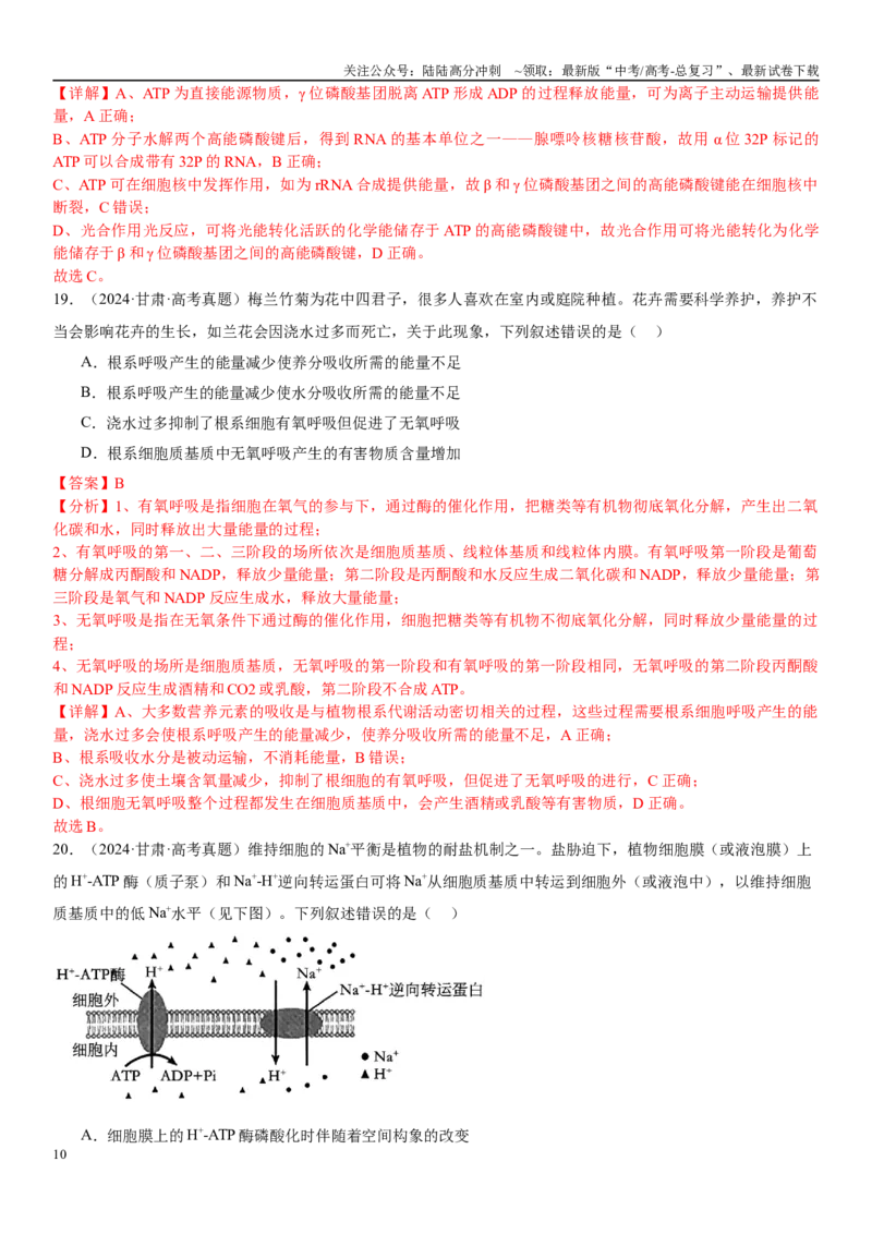 《专练02细胞代谢（90题）（教师版）_06-生物-高考总复习_专项复习_2024年_2024年新高考生物总复习高频考点必刷800题_2025版》第10页预览