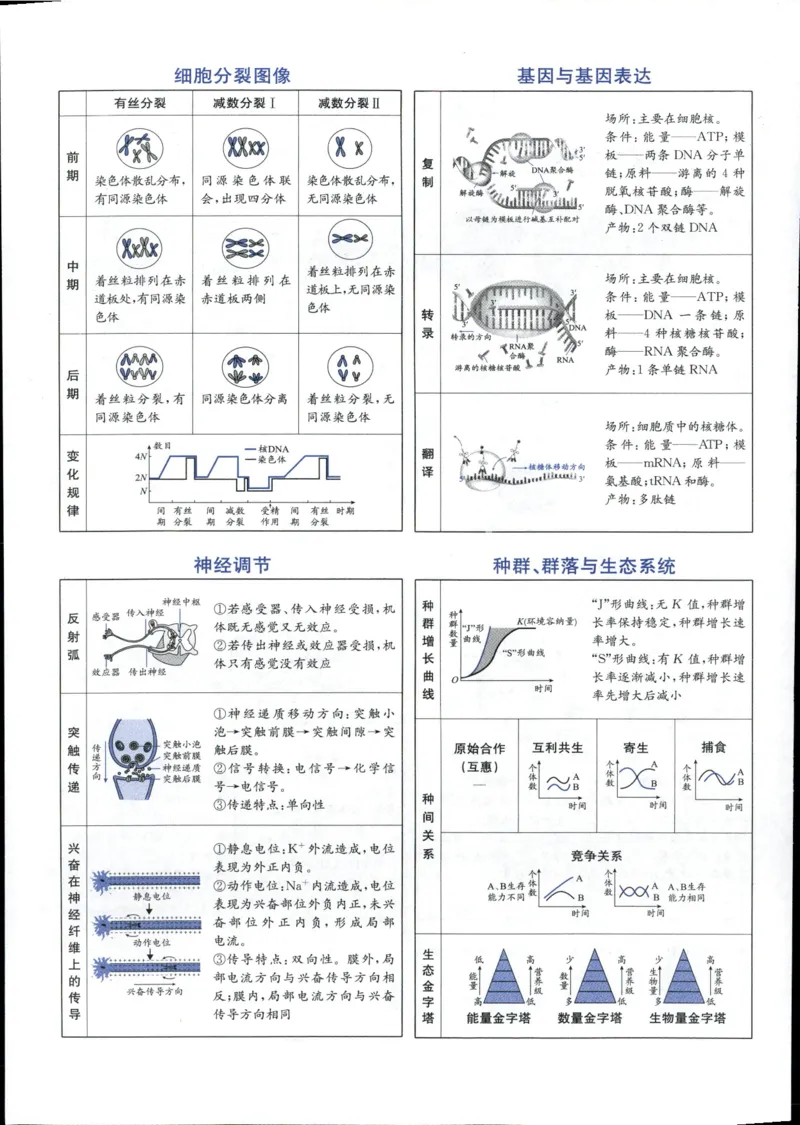《一本涂书高中生物_小初高学习资料合集（每天更新）_2026版《高中一本涂书》（第6次修订）》第10页预览