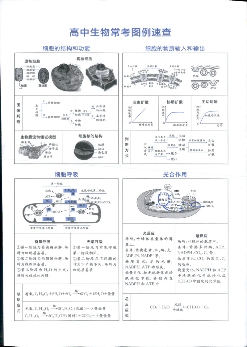 《一本涂书高中生物_小初高学习资料合集（每天更新）_2026版《高中一本涂书》（第6次修订）》第9页预览