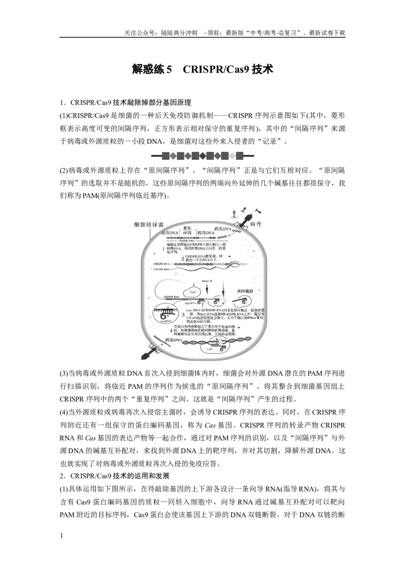 《2024年高考生物一轮复习（新人教版）第10单元　解惑练5　CRISPRCas9技术_06-生物-高考总复习_一轮复习_2024年_2024高考生物大一轮复习课件讲义新人教版知识总结_教师版》第1页预览
