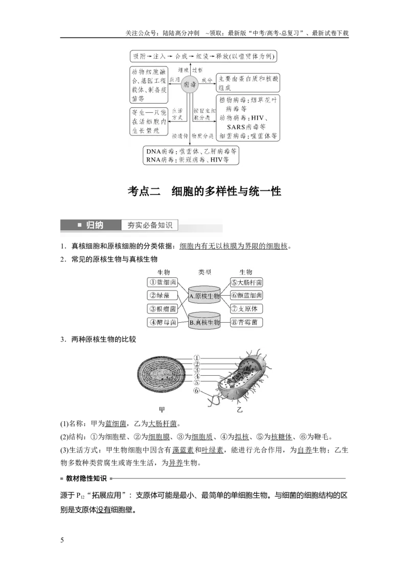 《2024年高考生物一轮复习（新人教版）第1单元　第1课时　走近细胞_06-生物-高考总复习_一轮复习_2024年_2024高考生物大一轮复习课件讲义新人教版知识总结_教师版》第5页预览