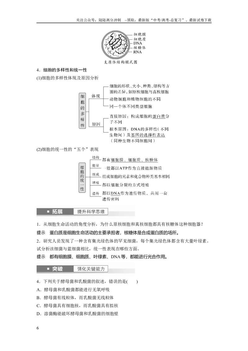《2024年高考生物一轮复习（新人教版）第1单元　第1课时　走近细胞_06-生物-高考总复习_一轮复习_2024年_2024高考生物大一轮复习课件讲义新人教版知识总结_教师版》第6页预览
