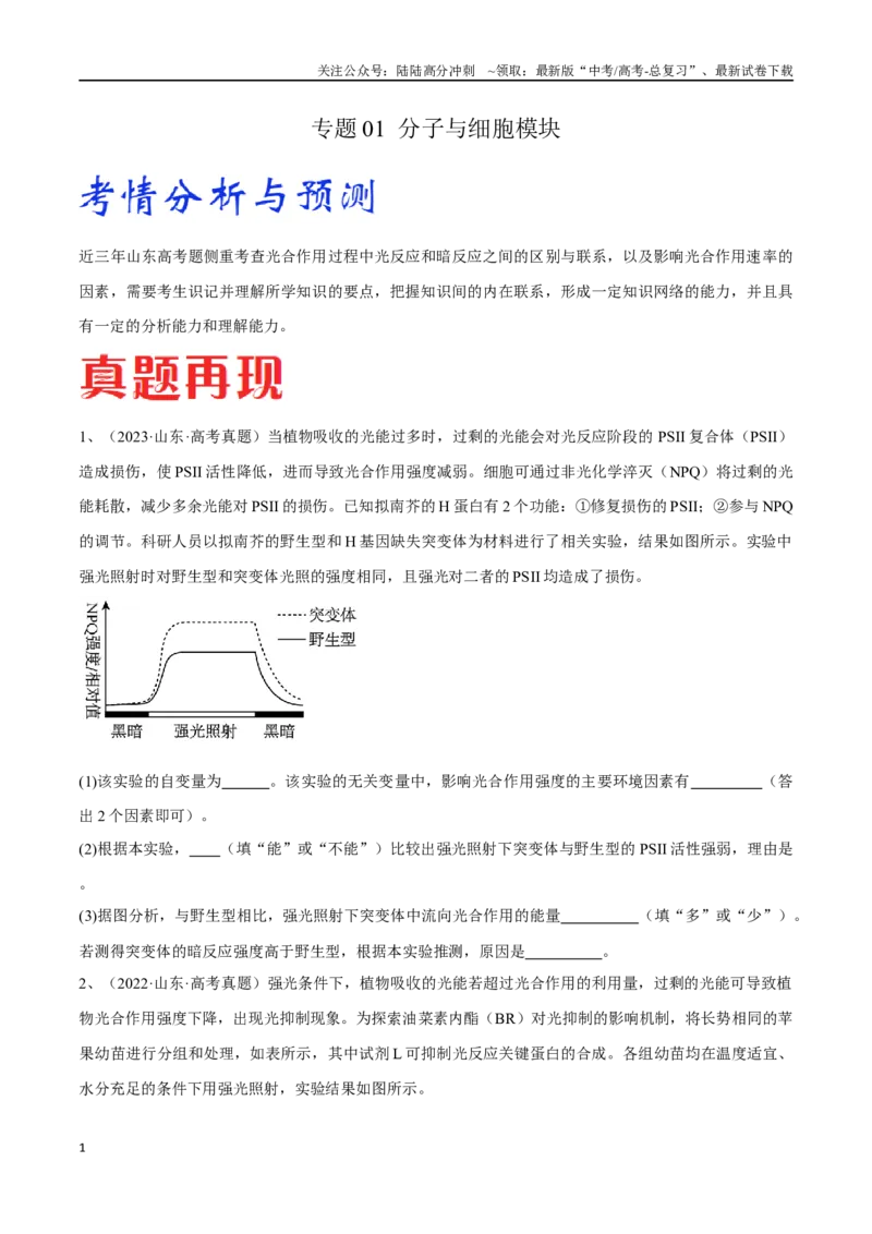 《专题01分子与细胞模块（山东卷）（原卷版）_06-生物-高考总复习_专项复习_2024年_2024年高考生物考前大题秒杀技巧及专项训练_资料》第1页预览