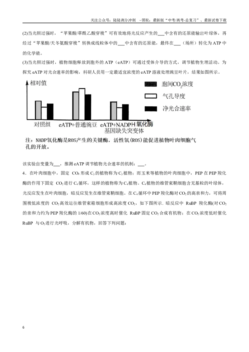 《专题01分子与细胞模块（山东卷）（原卷版）_06-生物-高考总复习_专项复习_2024年_2024年高考生物考前大题秒杀技巧及专项训练_资料》第6页预览