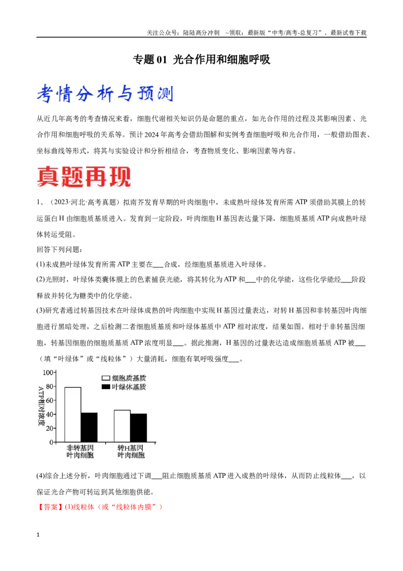 《专题01光合作用和细胞呼吸（河北卷）（解析版）_06-生物-高考总复习_专项复习_2024年_2024年高考生物考前大题秒杀技巧及专项训练_资料》第1页预览