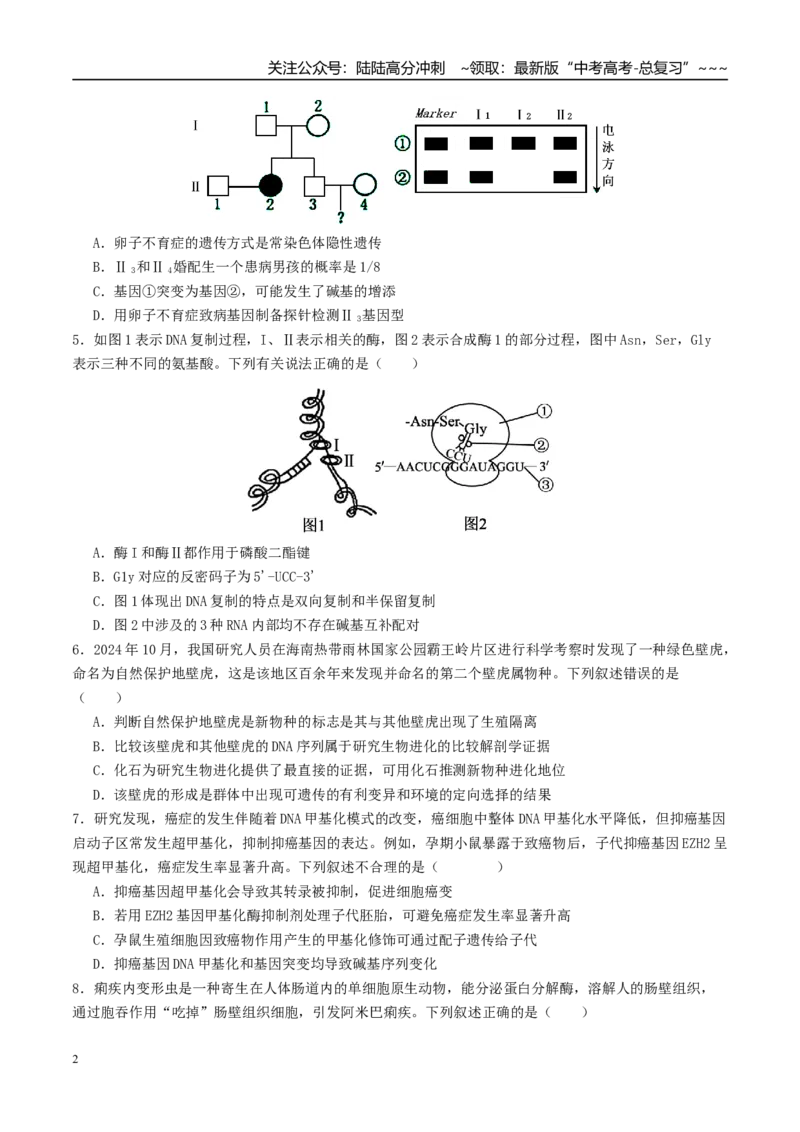 《一轮复习收官卷1（15+5）（学生版）（全国通用）_06-生物-高考总复习_一轮复习_2026年-生物高考一轮复习_2026年高考生物一轮复习讲义+练习+课件（新教材新高考）-G55_2026版_一轮收官卷》第2页预览