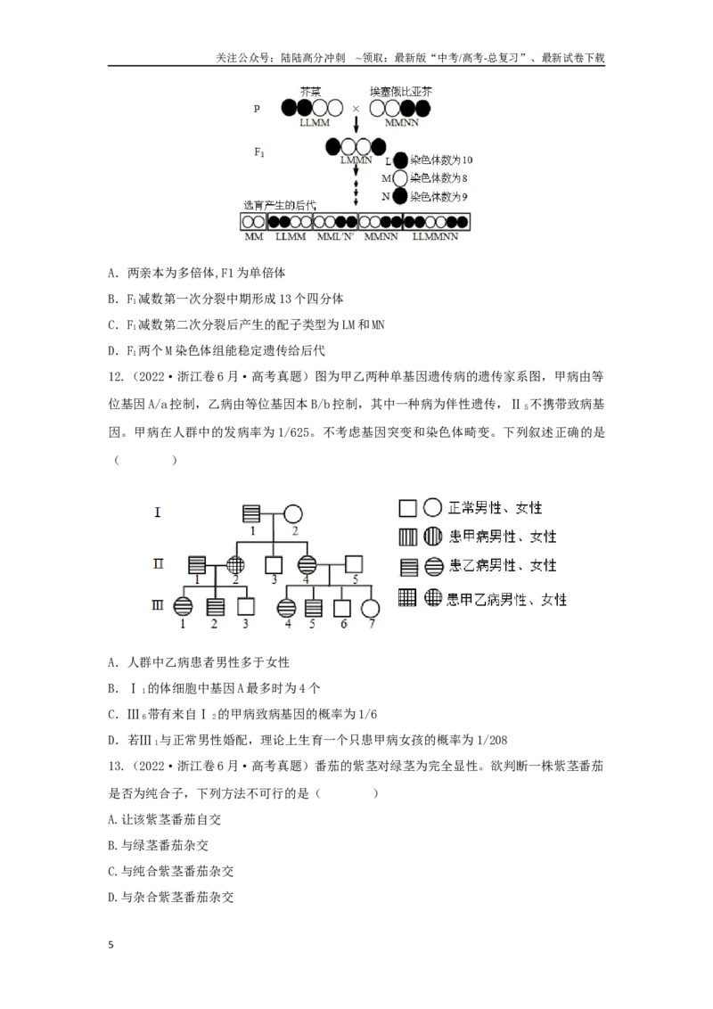 《04遗传规律（单选100）（原卷版）_06-生物-高考总复习_专项复习_2024年_2024年高考生物学总复习高频考点必刷900题高考题_资料》第5页预览