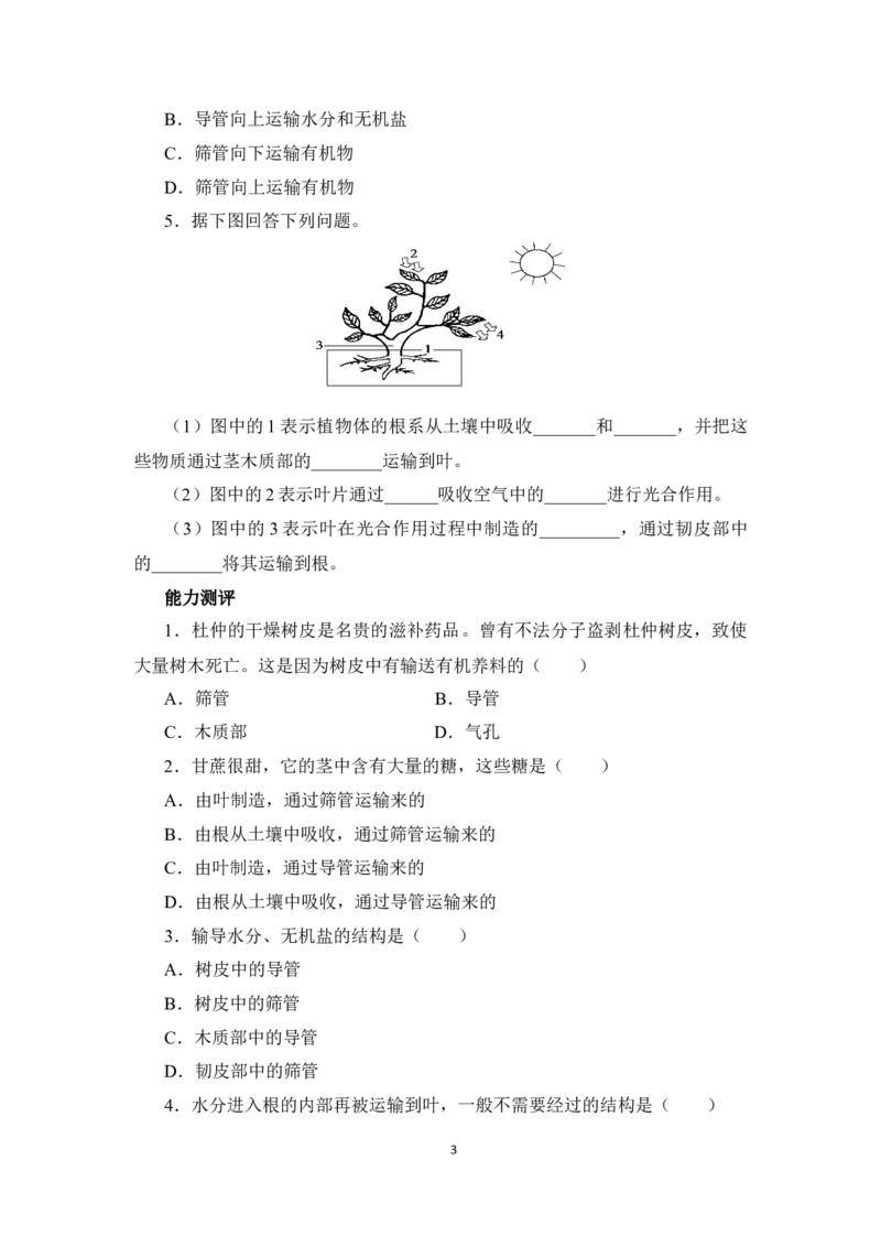《第5章第5节《运输作用》课堂精练_初中全科目同步习题+精品试卷（7-9年级）(1)_25秋初中生物《同步习题+精品试卷》_初中生物试卷（北师大）_《单元试卷》_单元试卷7A》第3页预览