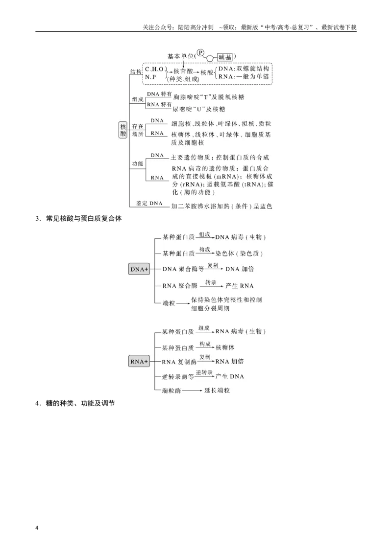 《专题01细胞的分子组成（原卷版）_06-生物-高考总复习_专项复习_2024年_2024年高考生物经典小题必刷_资料》第4页预览