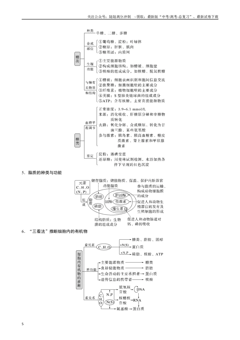 《专题01细胞的分子组成（原卷版）_06-生物-高考总复习_专项复习_2024年_2024年高考生物经典小题必刷_资料》第5页预览