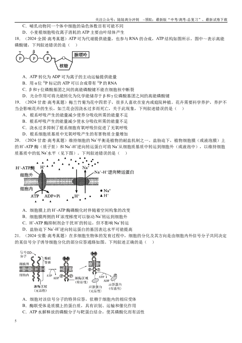 《专练02细胞代谢（90题）（学生版）_06-生物-高考总复习_专项复习_2024年_2024年新高考生物总复习高频考点必刷800题_2025版》第5页预览