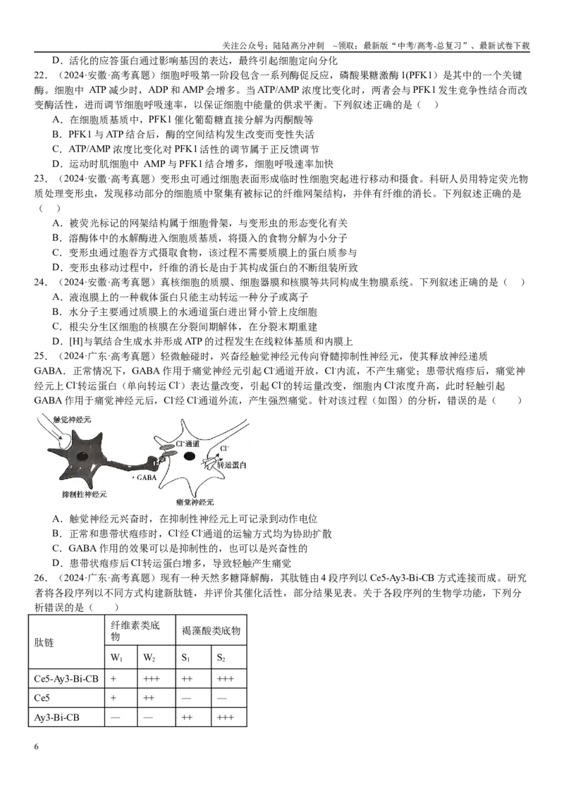《专练02细胞代谢（90题）（学生版）_06-生物-高考总复习_专项复习_2024年_2024年新高考生物总复习高频考点必刷800题_2025版》第6页预览