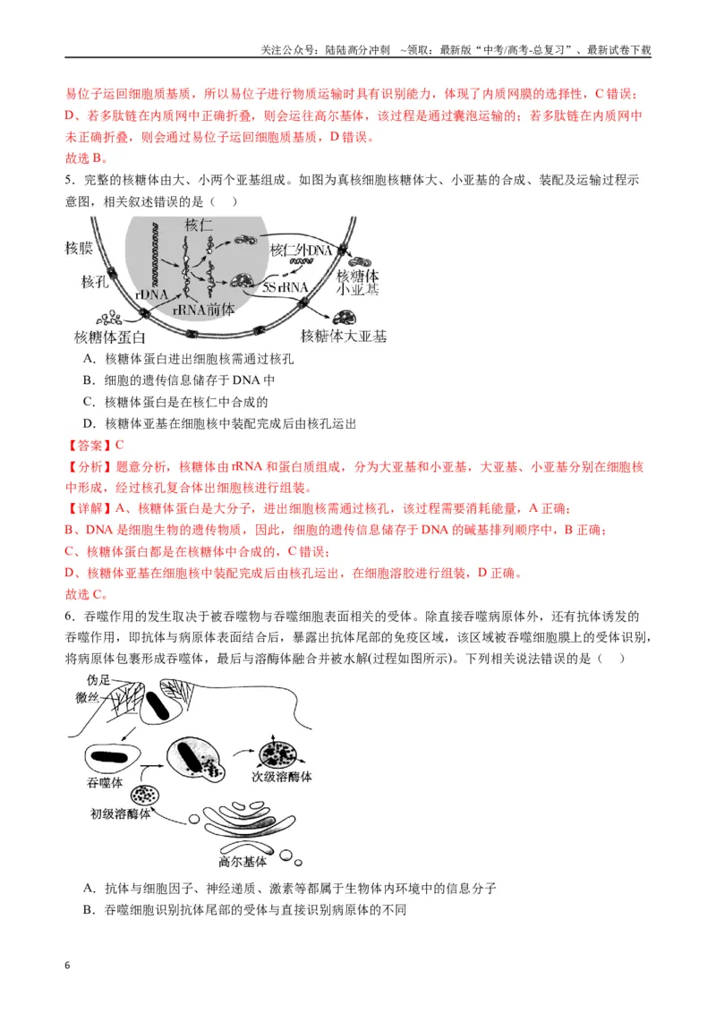 《专题02细胞的结构和功能（解析版）_06-生物-高考总复习_专项复习_2024年_2024年高考生物经典小题必刷_资料》第6页预览