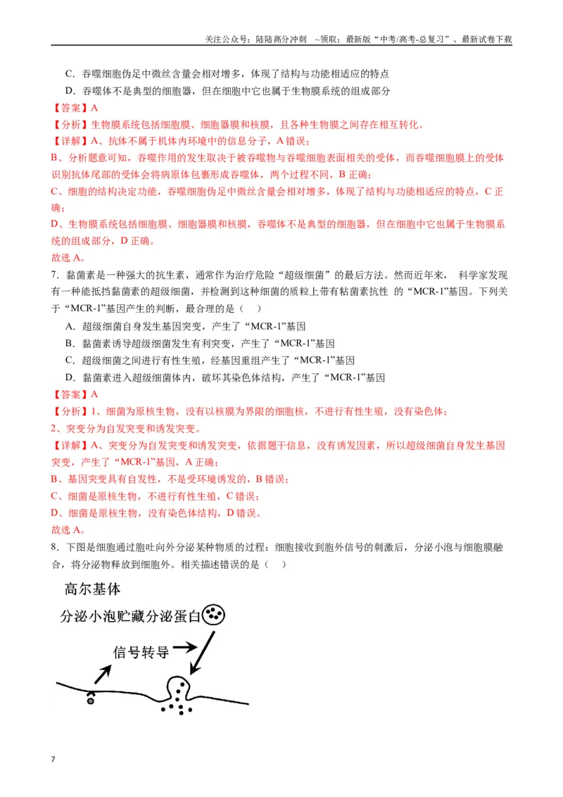 《专题02细胞的结构和功能（解析版）_06-生物-高考总复习_专项复习_2024年_2024年高考生物经典小题必刷_资料》第7页预览
