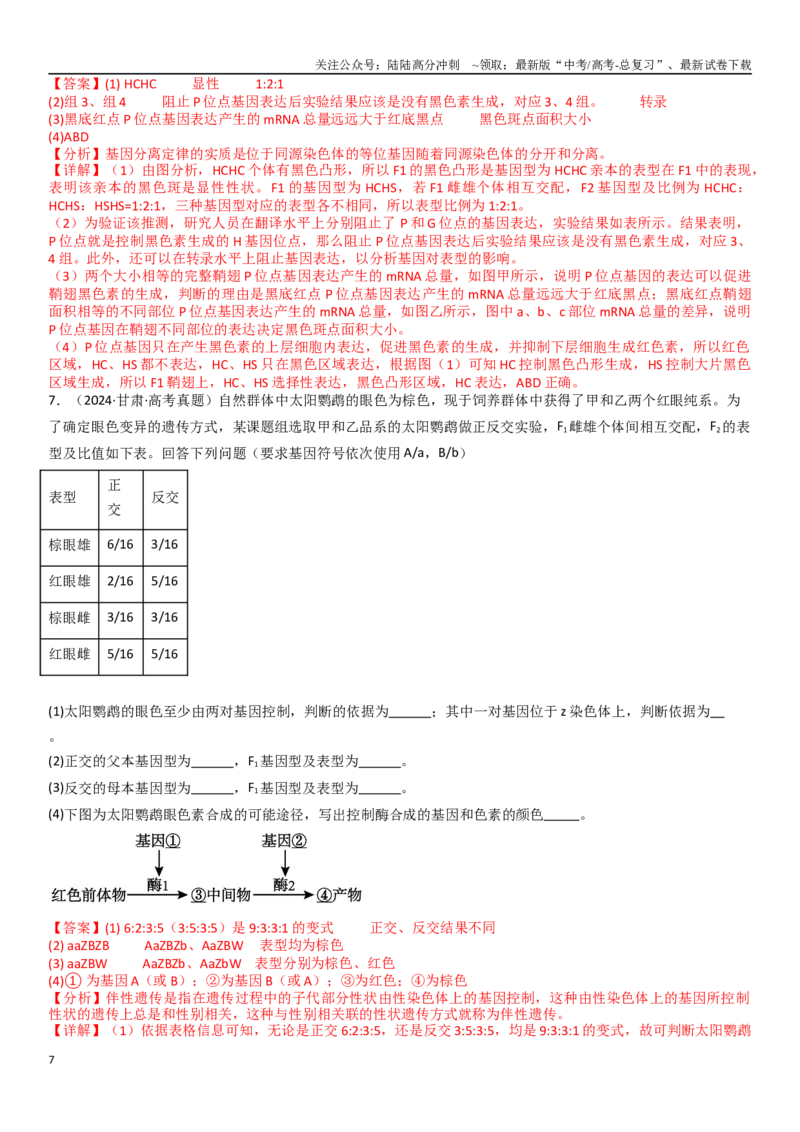 《专练12遗传（20题）（教师版）_06-生物-高考总复习_专项复习_2024年_2024年新高考生物总复习高频考点必刷800题_2025版》第7页预览