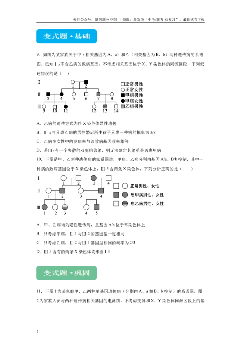 《2024年新课标高考生物真题黑龙江卷变式题19-21_06-生物-高考总复习_专项复习_2024年_2024年生物真题变式题》第5页预览
