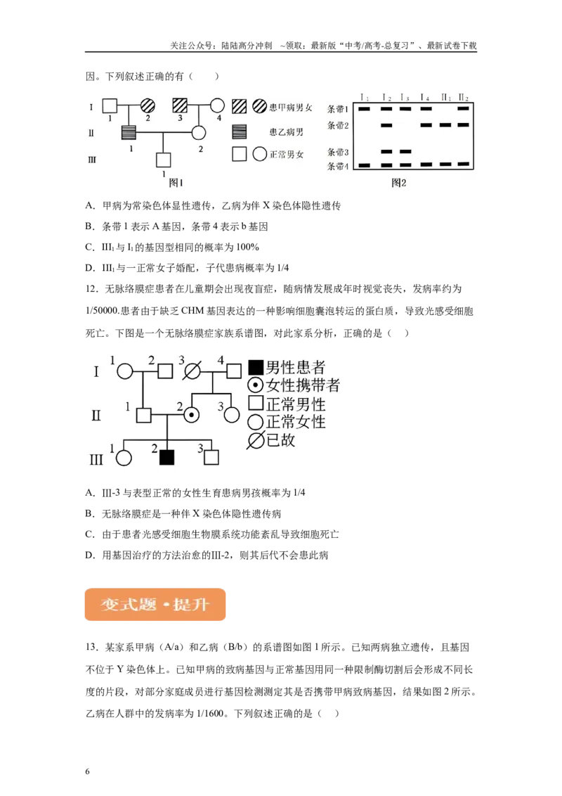 《2024年新课标高考生物真题黑龙江卷变式题19-21_06-生物-高考总复习_专项复习_2024年_2024年生物真题变式题》第6页预览