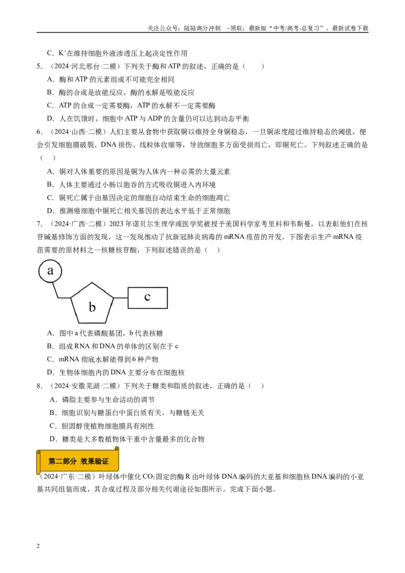 《专题01细胞的物质基础（原卷版）_06-生物-高考总复习_专项复习_2025年_2024年高考二模试题分类汇编生物新高考通用》第2页预览