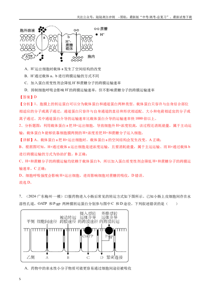 《专题02物质出入细胞的方式（解析版）_06-生物-高考总复习_专项复习_2024年_2024年高考生物重难压轴题型考前终极押题_资料》第5页预览