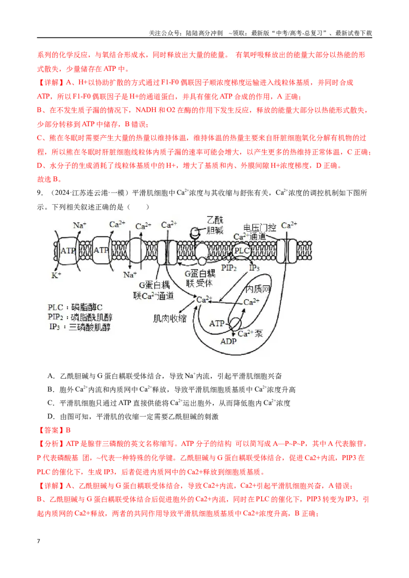 《专题02物质出入细胞的方式（解析版）_06-生物-高考总复习_专项复习_2024年_2024年高考生物重难压轴题型考前终极押题_资料》第7页预览
