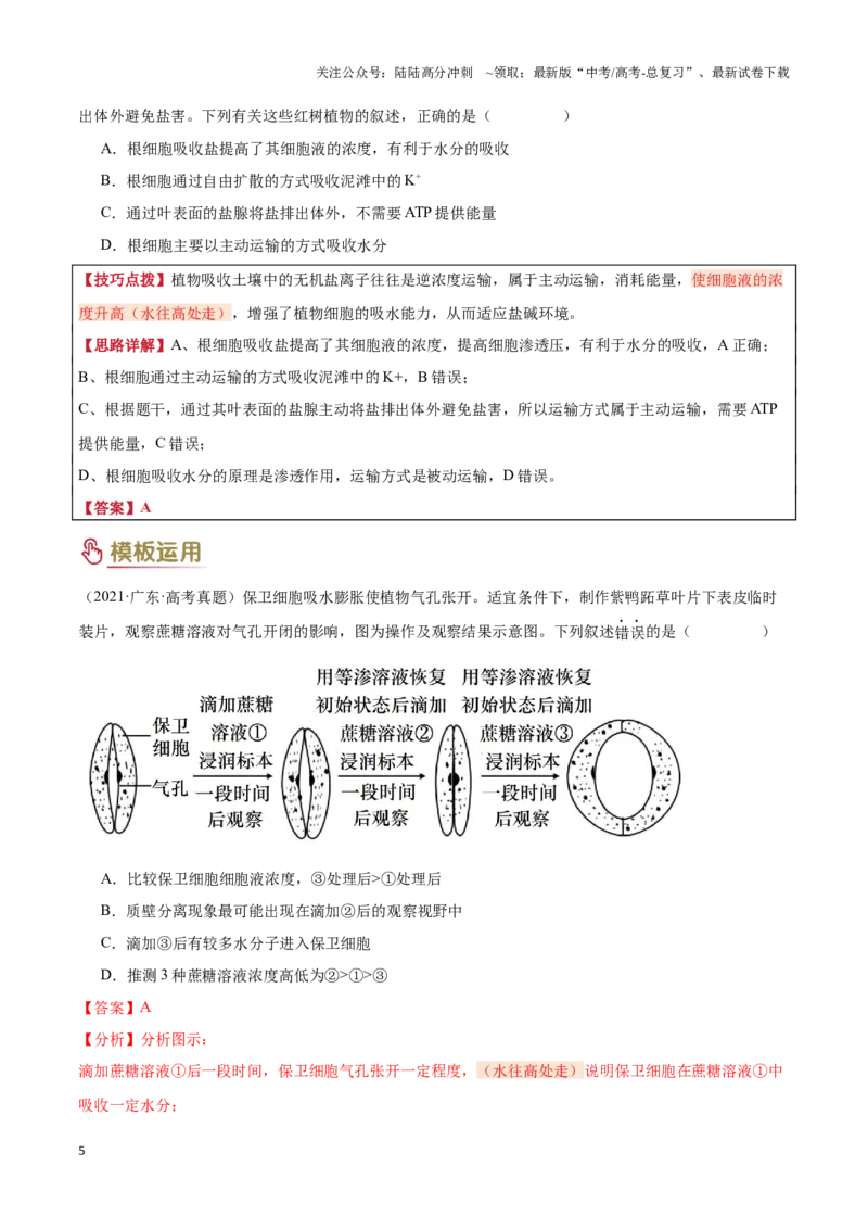 《专题01细胞的基本结构和物质运输（3大答题模板）（教师版）_06-生物-高考总复习_专项复习_2025年_2025年高考生物答题技巧与答题模板（全国通用）》第5页预览