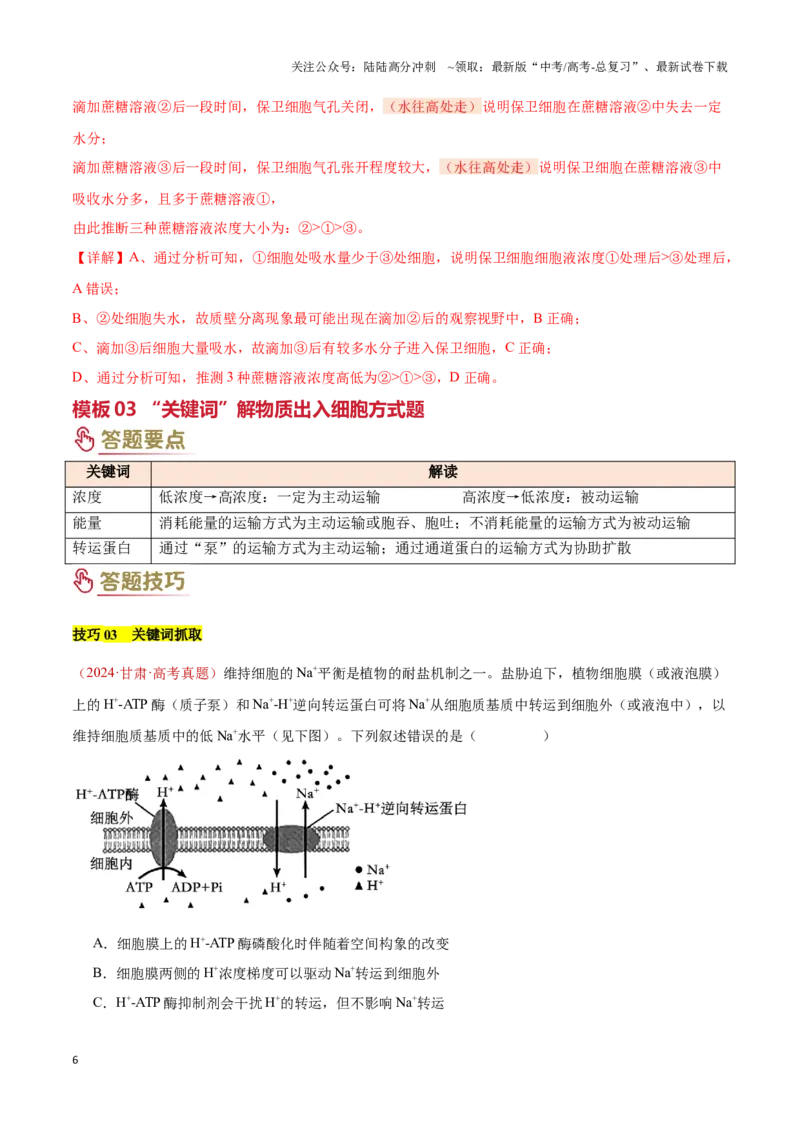 《专题01细胞的基本结构和物质运输（3大答题模板）（教师版）_06-生物-高考总复习_专项复习_2025年_2025年高考生物答题技巧与答题模板（全国通用）》第6页预览