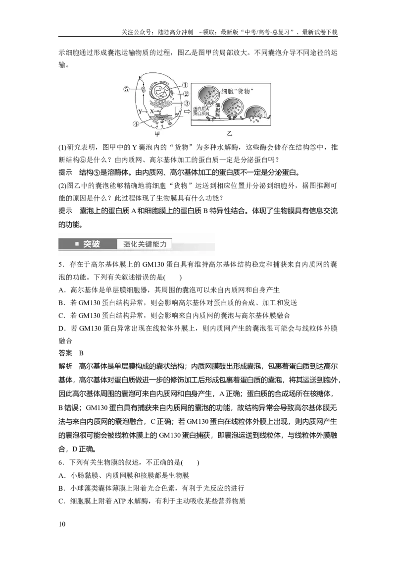 《2024年高考生物一轮复习（新人教版）第2单元　第2课时　细胞器之间的分工合作_06-生物-高考总复习_一轮复习_2024年_2024高考生物大一轮复习课件讲义新人教版知识总结_教师版》第10页预览