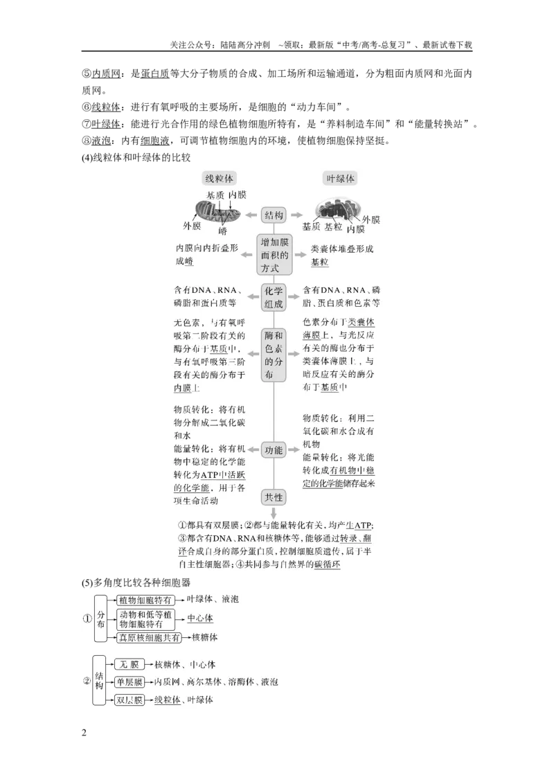 《2024年高考生物一轮复习（新人教版）第2单元　第2课时　细胞器之间的分工合作_06-生物-高考总复习_一轮复习_2024年_2024高考生物大一轮复习课件讲义新人教版知识总结_教师版》第2页预览