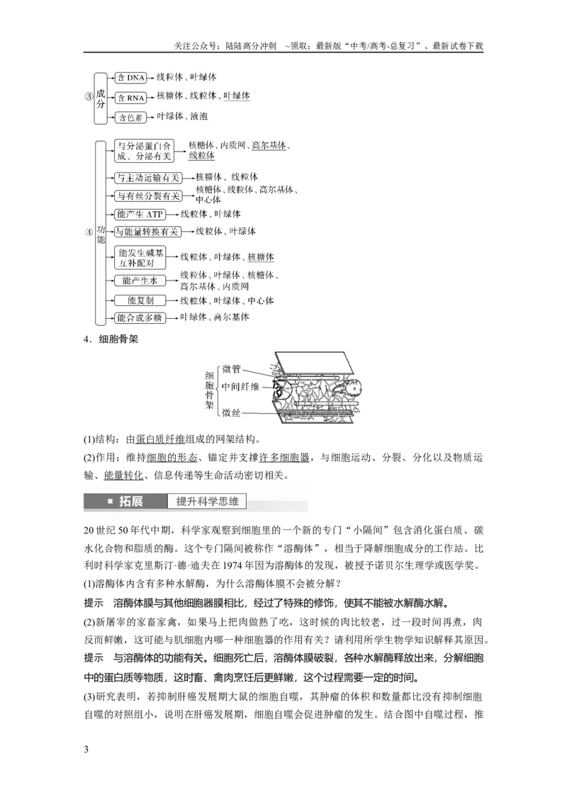 《2024年高考生物一轮复习（新人教版）第2单元　第2课时　细胞器之间的分工合作_06-生物-高考总复习_一轮复习_2024年_2024高考生物大一轮复习课件讲义新人教版知识总结_教师版》第3页预览