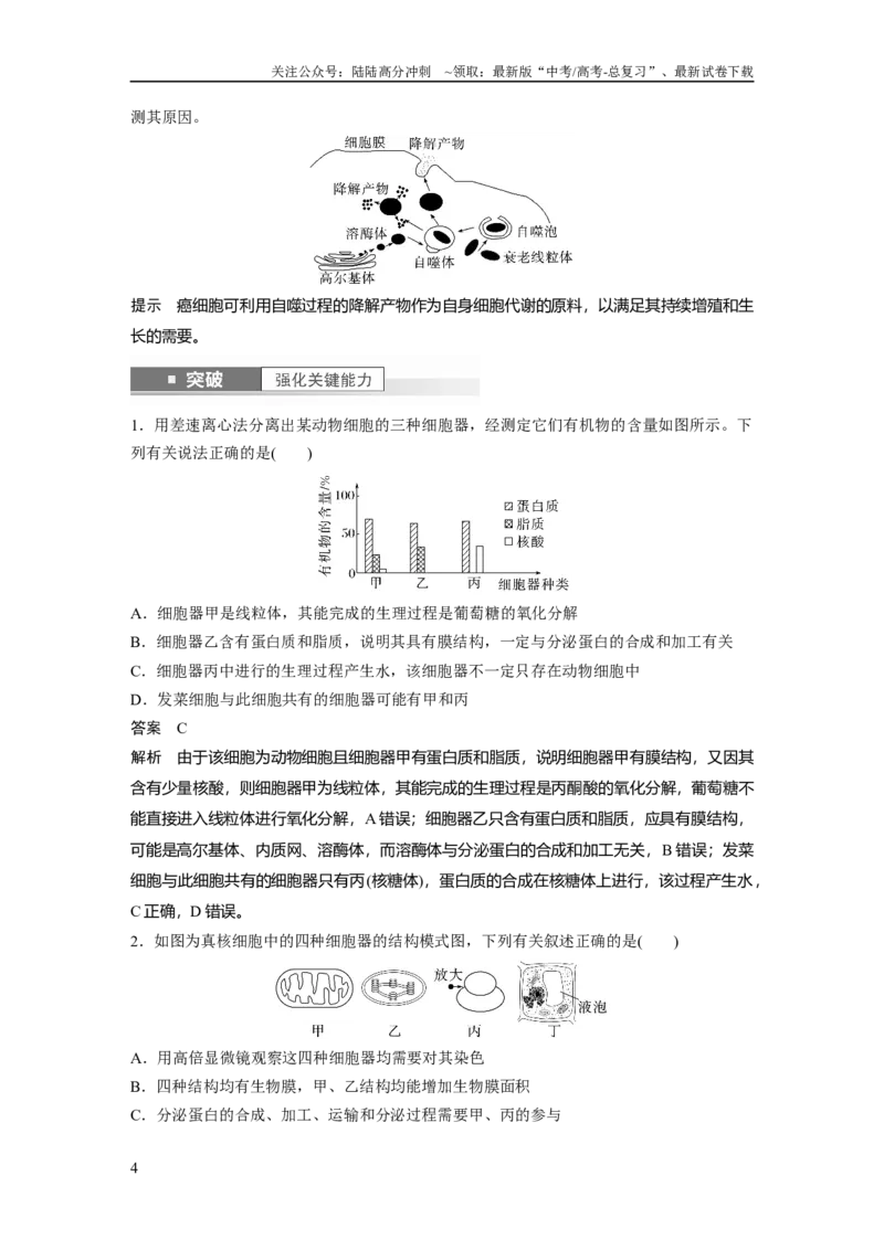 《2024年高考生物一轮复习（新人教版）第2单元　第2课时　细胞器之间的分工合作_06-生物-高考总复习_一轮复习_2024年_2024高考生物大一轮复习课件讲义新人教版知识总结_教师版》第4页预览