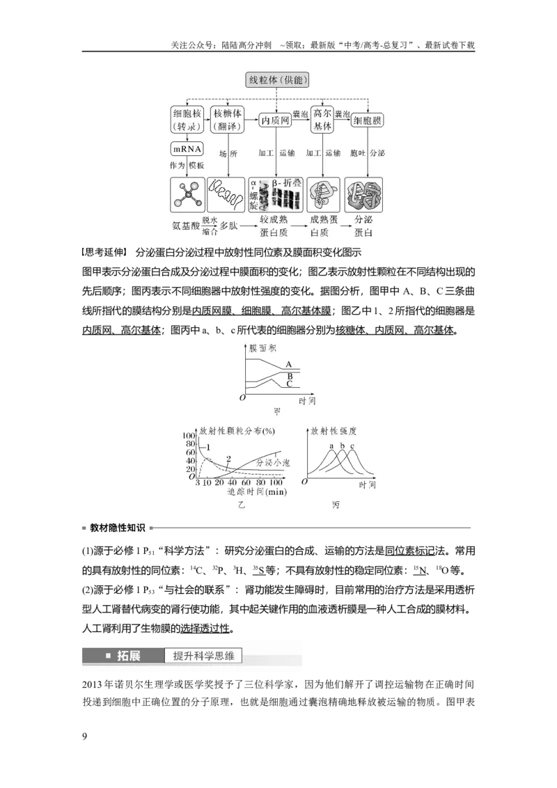 《2024年高考生物一轮复习（新人教版）第2单元　第2课时　细胞器之间的分工合作_06-生物-高考总复习_一轮复习_2024年_2024高考生物大一轮复习课件讲义新人教版知识总结_教师版》第9页预览