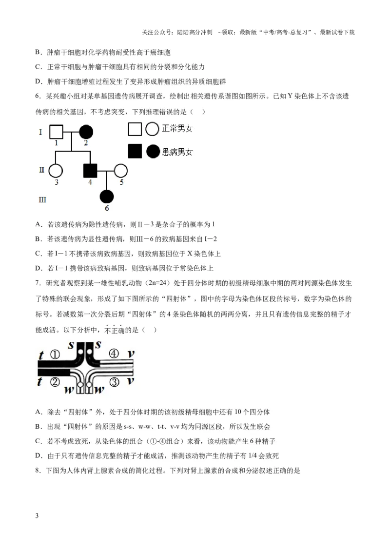 《2023年高考押题预测卷02（辽宁卷）-生物（考试版）_06-生物-高考总复习_专项复习_2024年_2023年高考押题预测卷01生物》第3页预览