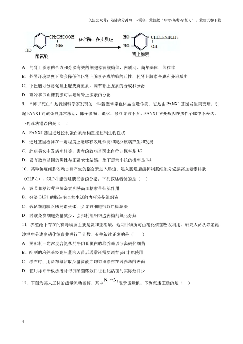 《2023年高考押题预测卷02（辽宁卷）-生物（考试版）_06-生物-高考总复习_专项复习_2024年_2023年高考押题预测卷01生物》第4页预览