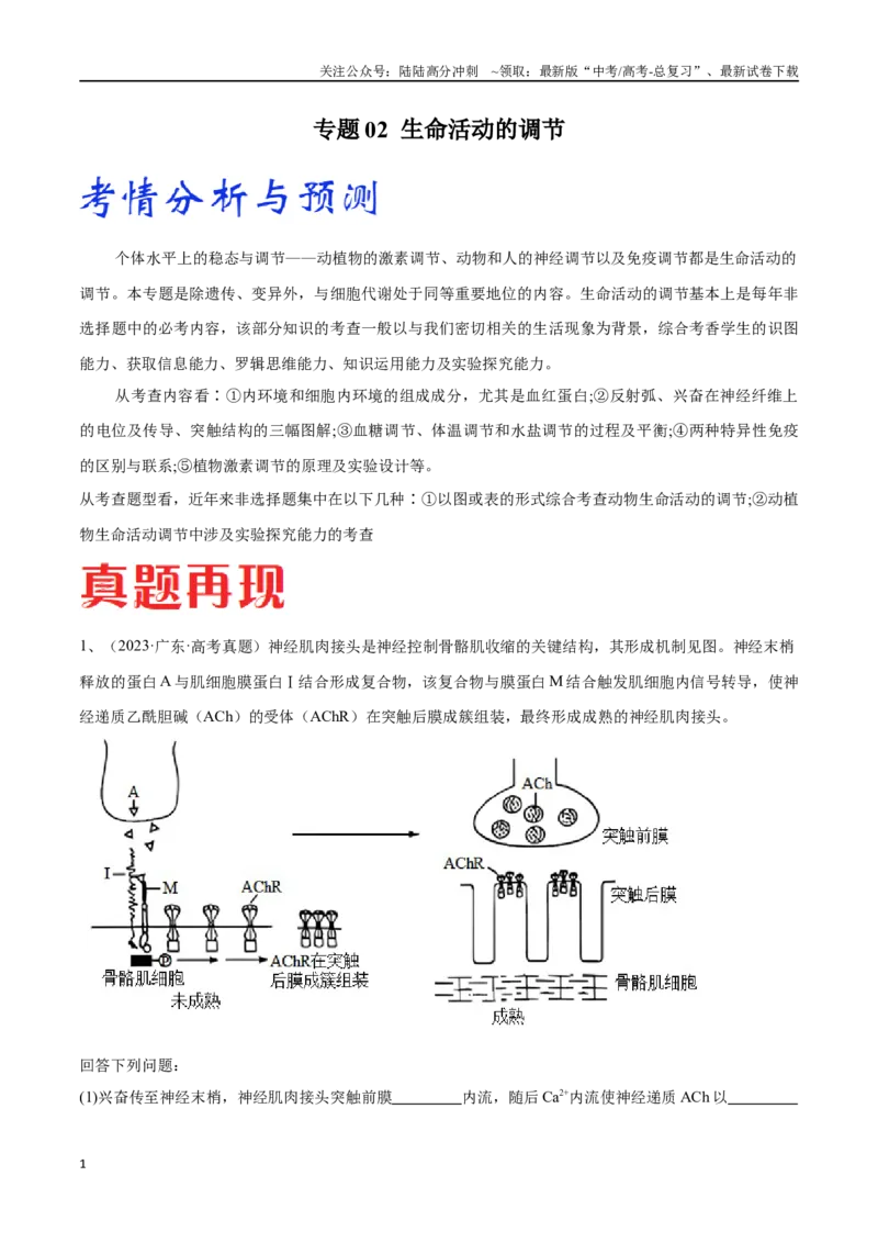 《专题02生命活动的调节（广东卷）（原卷版）_06-生物-高考总复习_专项复习_2024年_2024年高考生物考前大题秒杀技巧及专项训练_资料》第1页预览