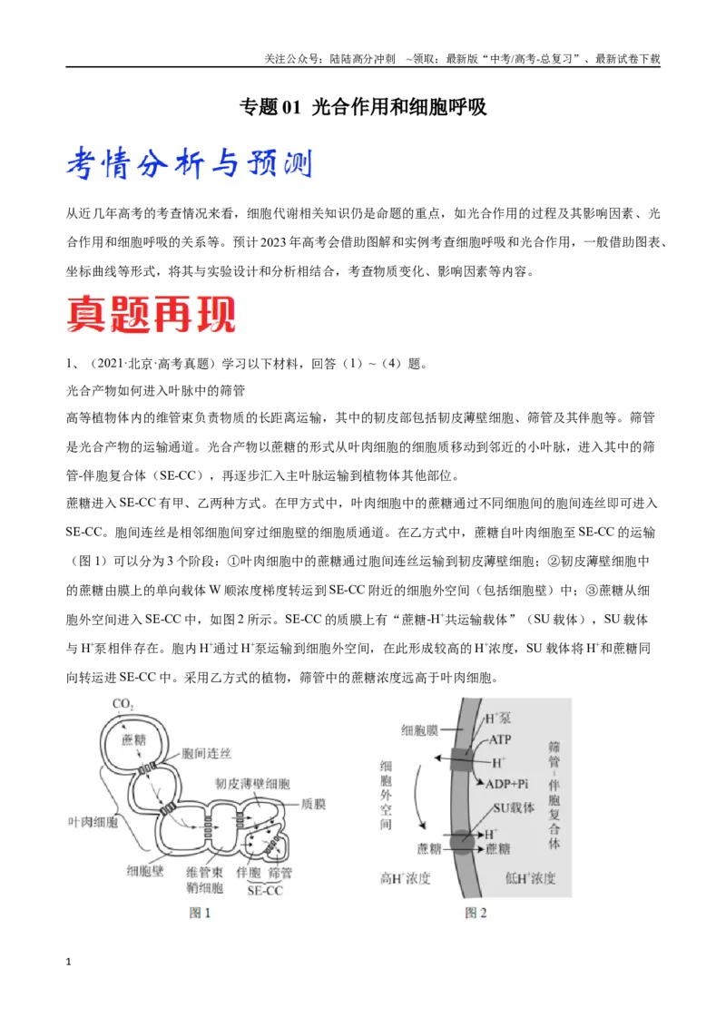 《专题01光合作用和细胞呼吸（北京卷）（原卷版）_06-生物-高考总复习_专项复习_2024年_2024年高考生物考前大题秒杀技巧及专项训练_资料》第1页预览