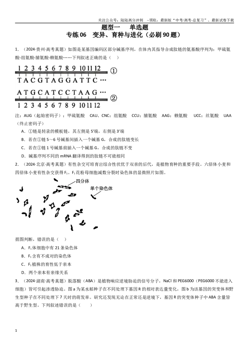 《专练06变异、育种与进化（90题）（学生版）_06-生物-高考总复习_专项复习_2024年_2024年新高考生物总复习高频考点必刷800题_2025版》第1页预览