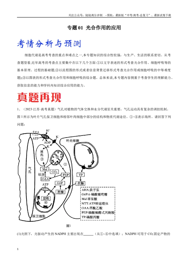 《专题01光合作用和细胞呼吸（解析版）_06-生物-高考总复习_专项复习_2024年_2024年高考生物考前大题秒杀技巧及专项训练_资料》第1页预览