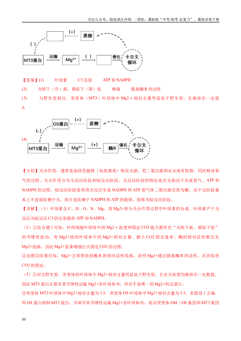 《专题01光合作用和细胞呼吸（解析版）_06-生物-高考总复习_专项复习_2024年_2024年高考生物考前大题秒杀技巧及专项训练_资料》第10页预览
