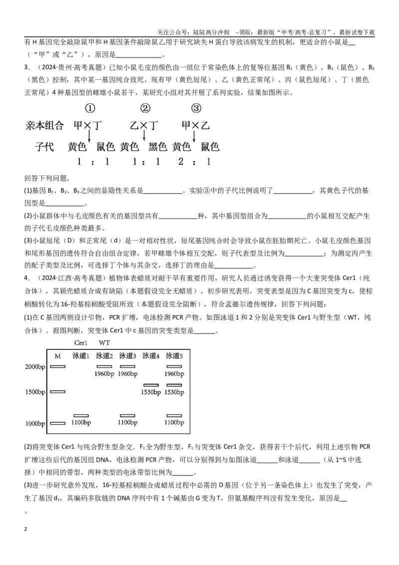 《专练12遗传（20题）（学生版）_06-生物-高考总复习_专项复习_2024年_2024年新高考生物总复习高频考点必刷800题_2025版》第2页预览