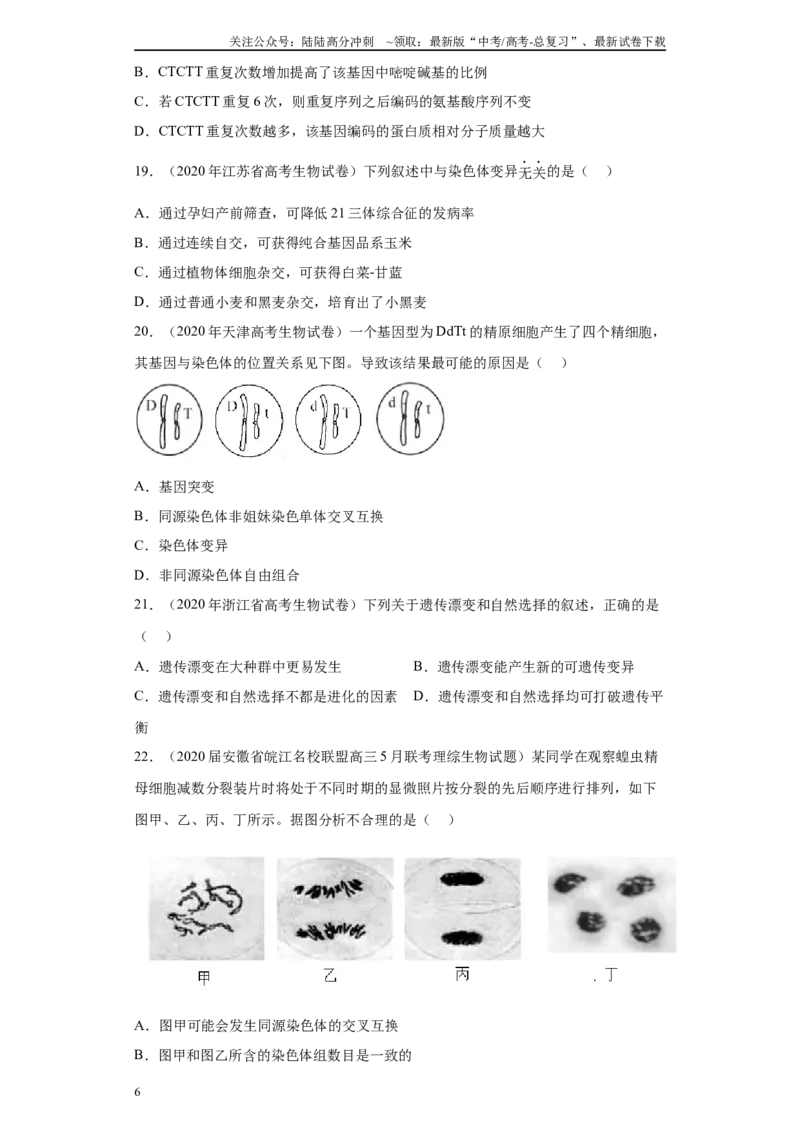 《05生物的变异、育种与进化（单选50）(原卷版)_06-生物-高考总复习_专项复习_2024年_2024年高考生物学总复习高频考点必刷900题高考题_资料》第6页预览