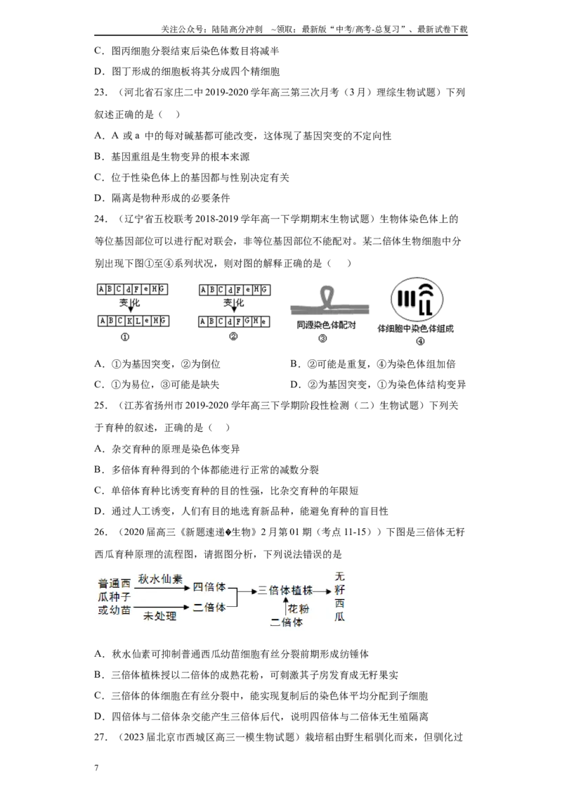 《05生物的变异、育种与进化（单选50）(原卷版)_06-生物-高考总复习_专项复习_2024年_2024年高考生物学总复习高频考点必刷900题高考题_资料》第7页预览
