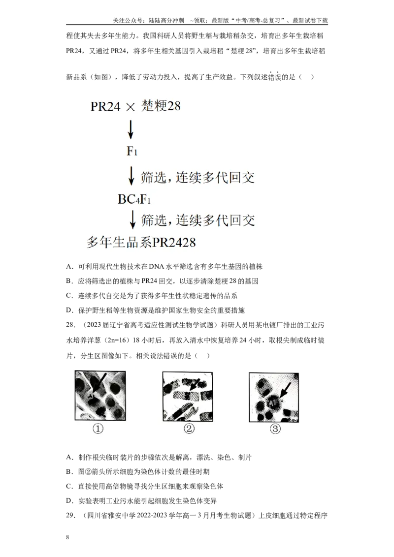 《05生物的变异、育种与进化（单选50）(原卷版)_06-生物-高考总复习_专项复习_2024年_2024年高考生物学总复习高频考点必刷900题高考题_资料》第8页预览