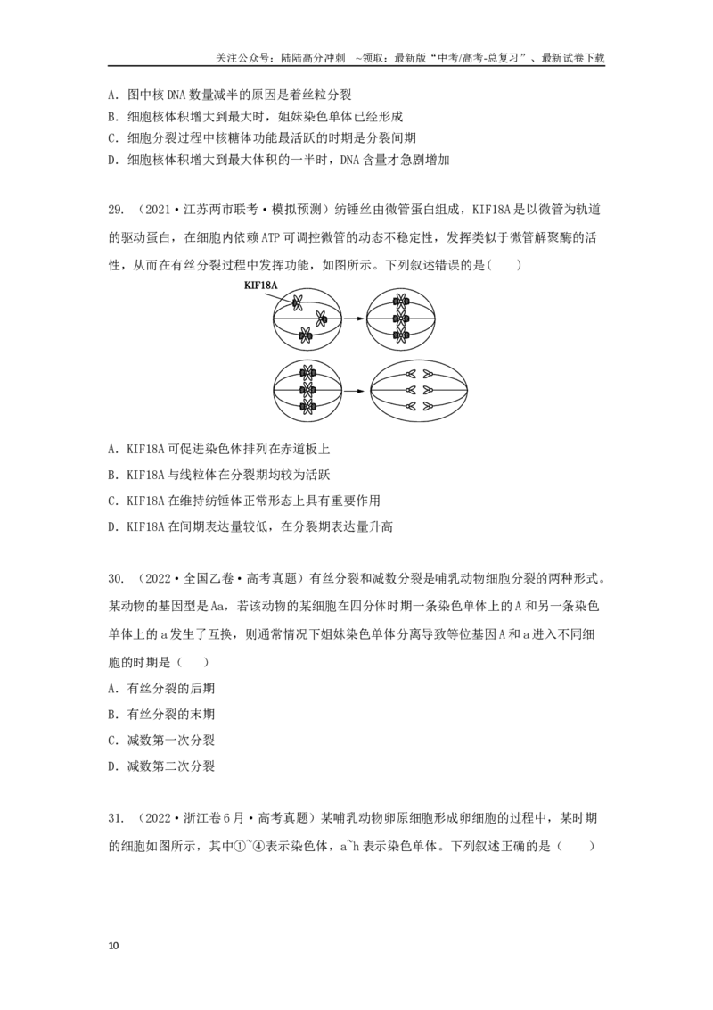 《03细胞的生命历程（单选50）（原卷版）_06-生物-高考总复习_专项复习_2024年_2024年高考生物学总复习高频考点必刷900题高考题_资料》第10页预览